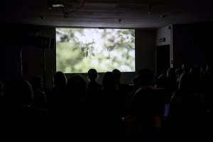 BerliiniEestiKultuuripäevad_Filmid_02